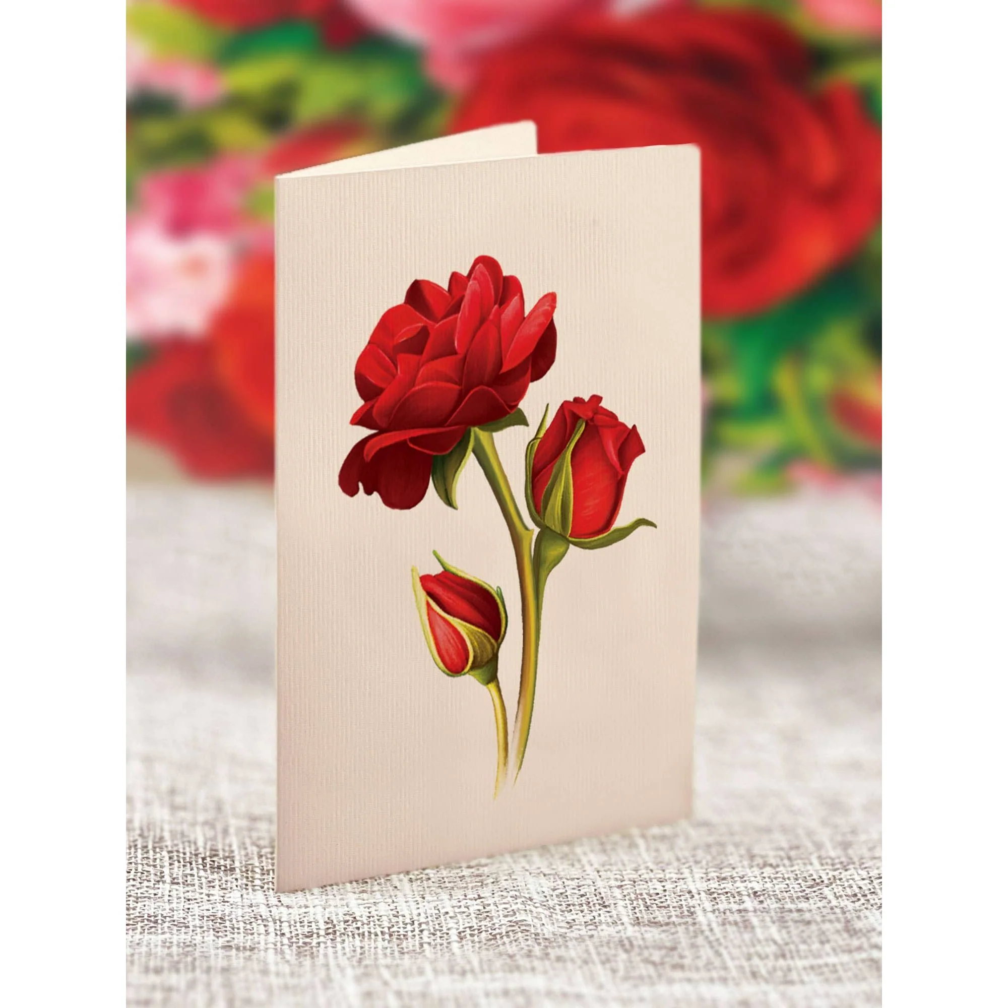 Mini Blooming Roses Pop Up Greeting Cards - Image 4