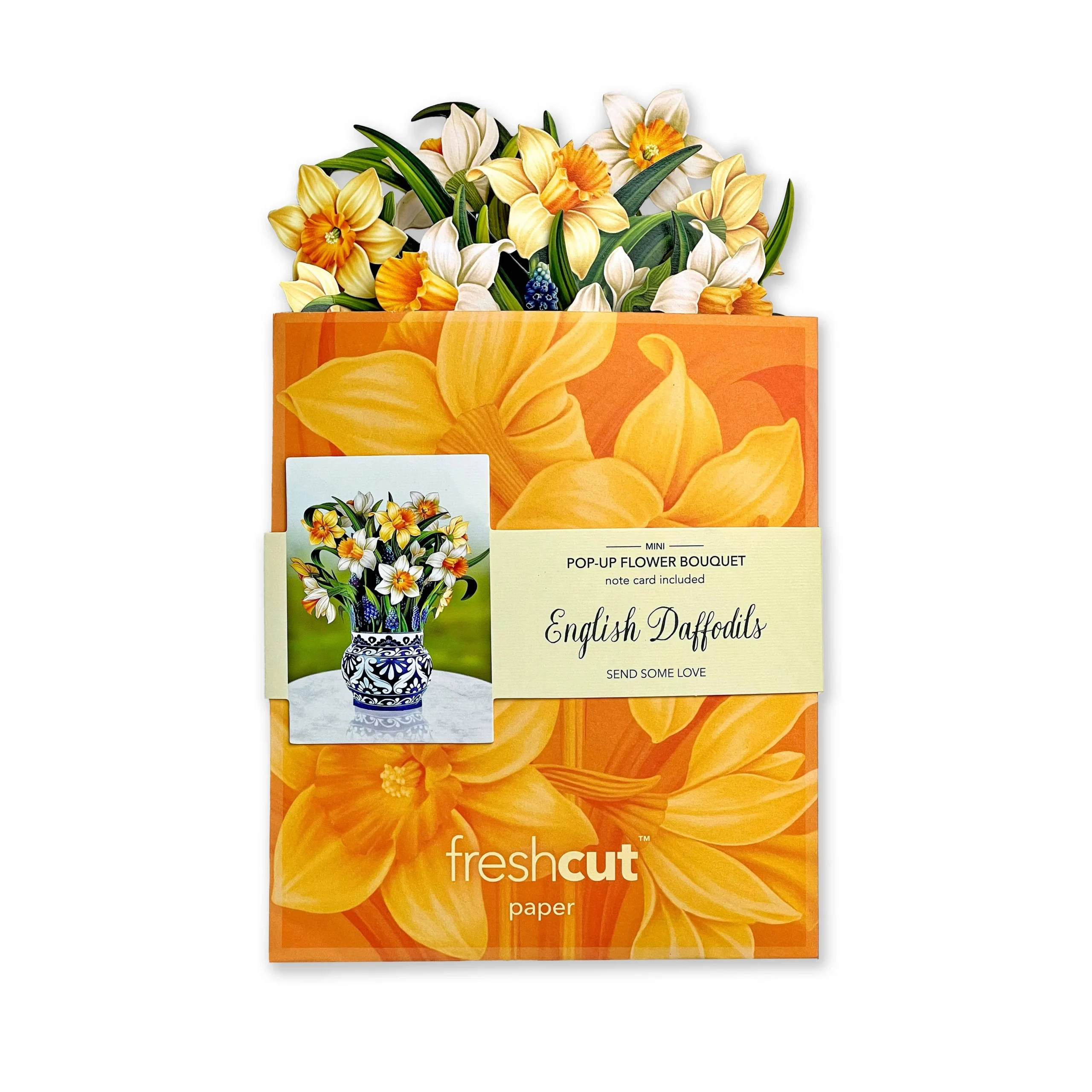 Mini English Daffodils Pop-up Greeting Cards - Image 8