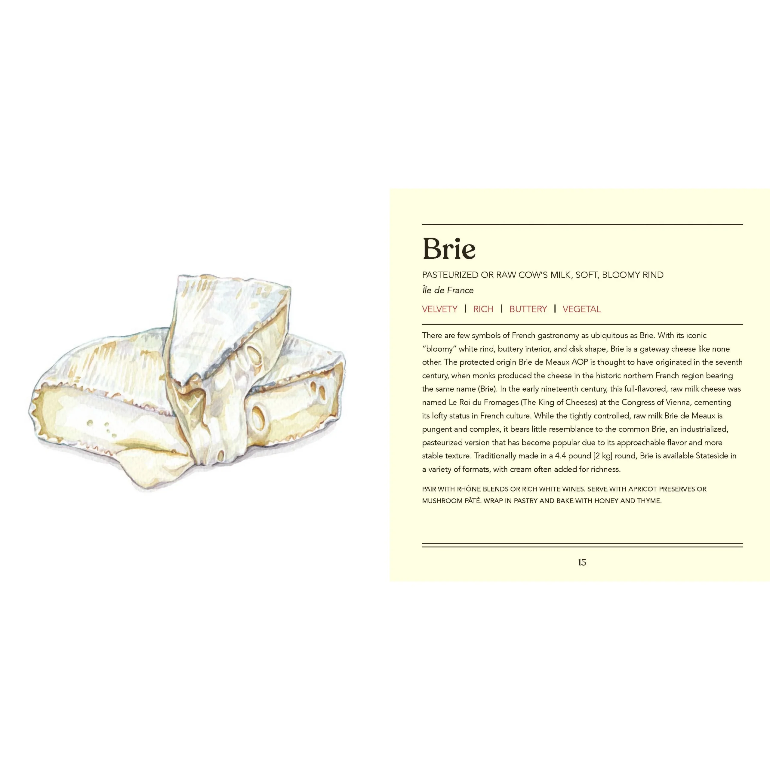 Cheese. Illustrated - Image 2