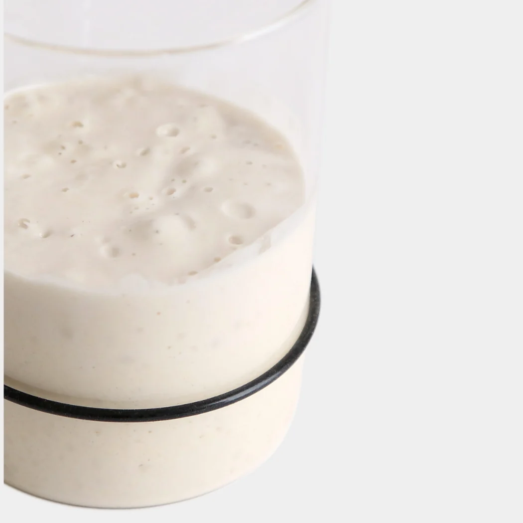 Breadtopia Sourdough Starter Kit - Image 5