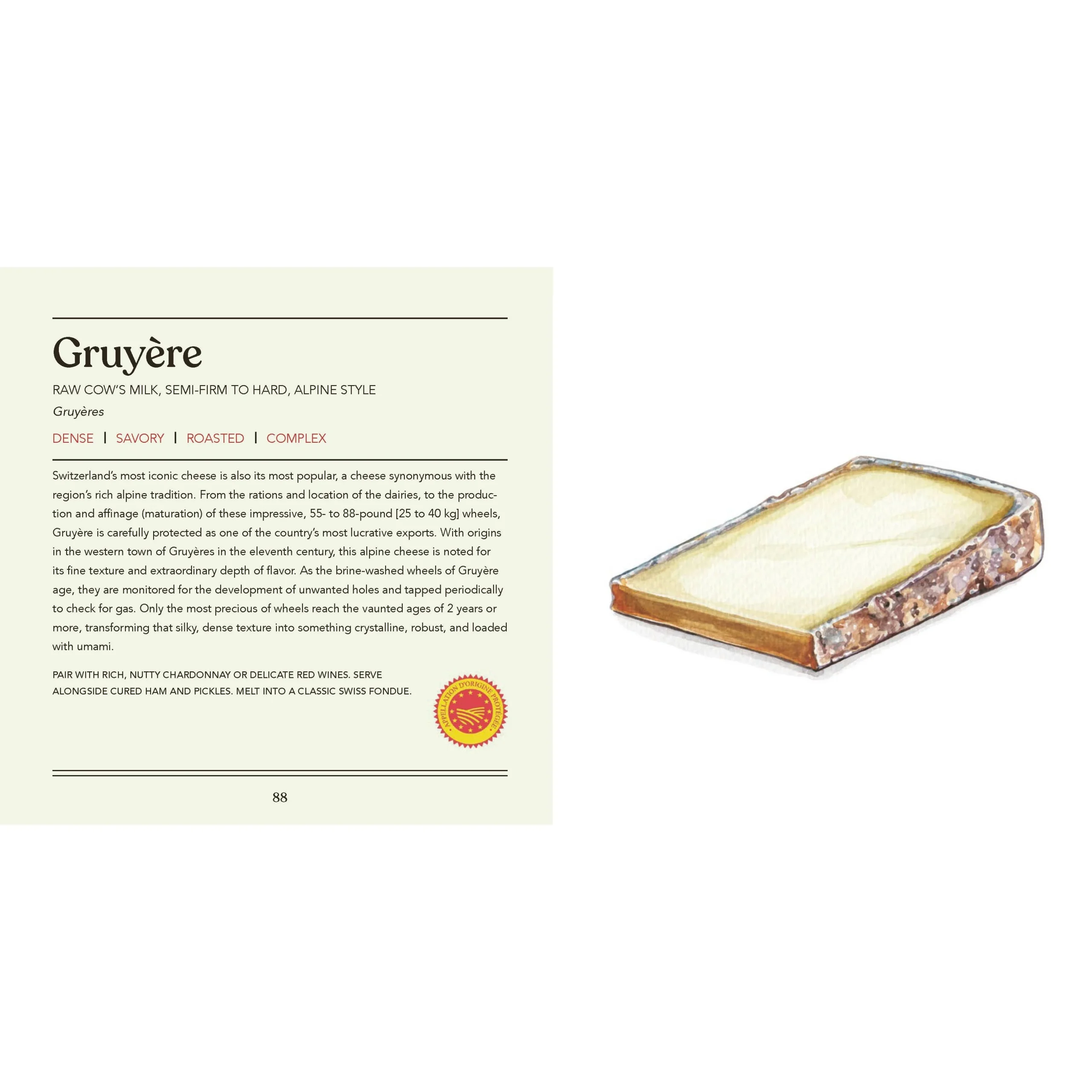 Cheese. Illustrated - Image 4