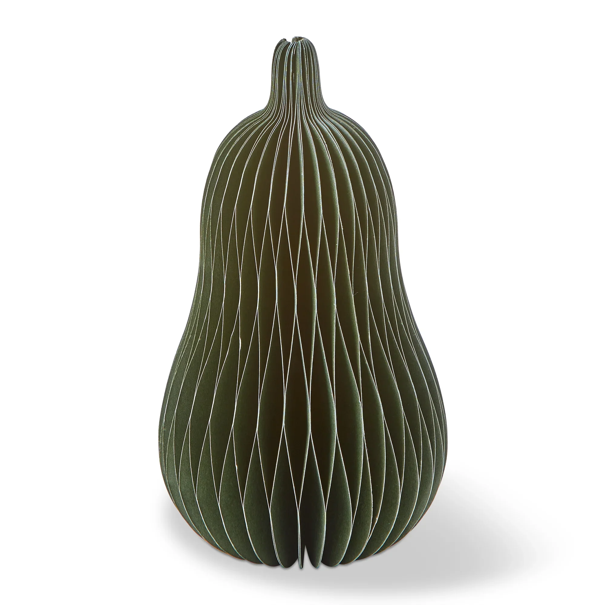 Squash Paper Decor Small