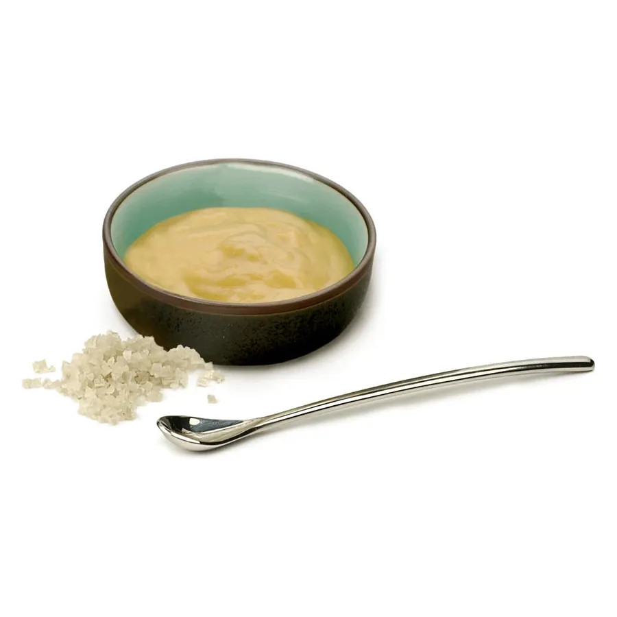 Salt Condiment Spoon - Image 2