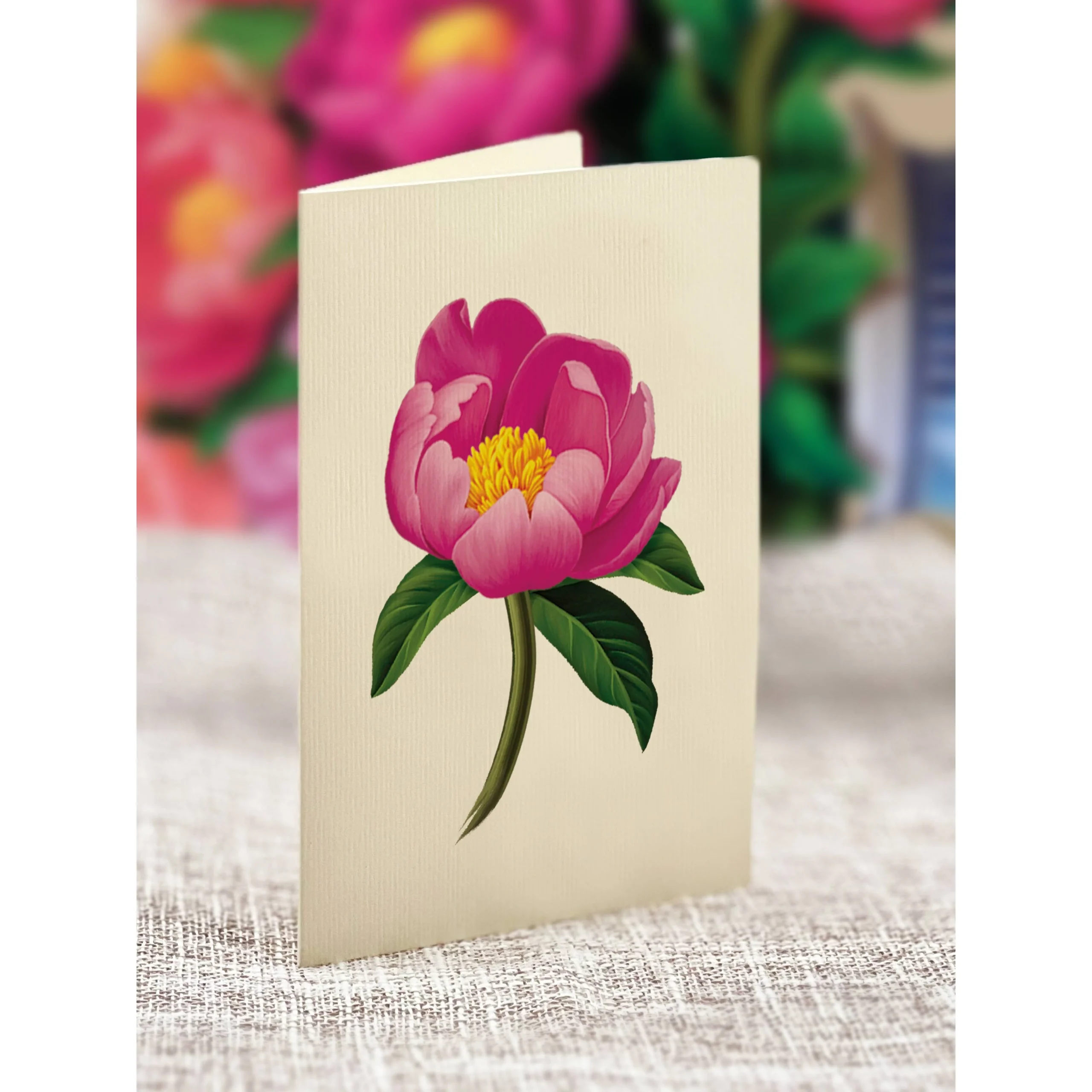 Peony Paradise Pop-up Greeting Cards - Image 6