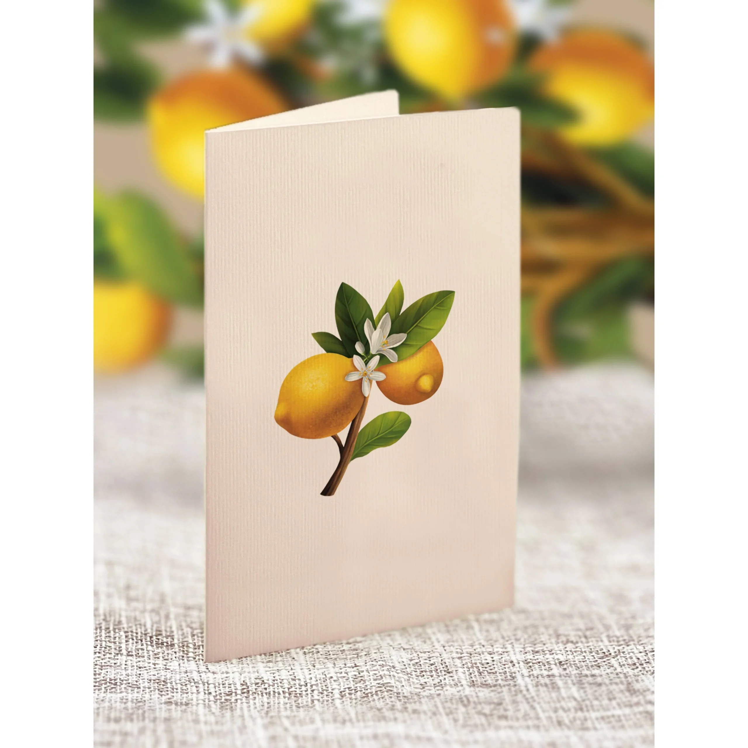 Mini Lemon Blossom Tree Pop Up Greeting Cards - Image 5