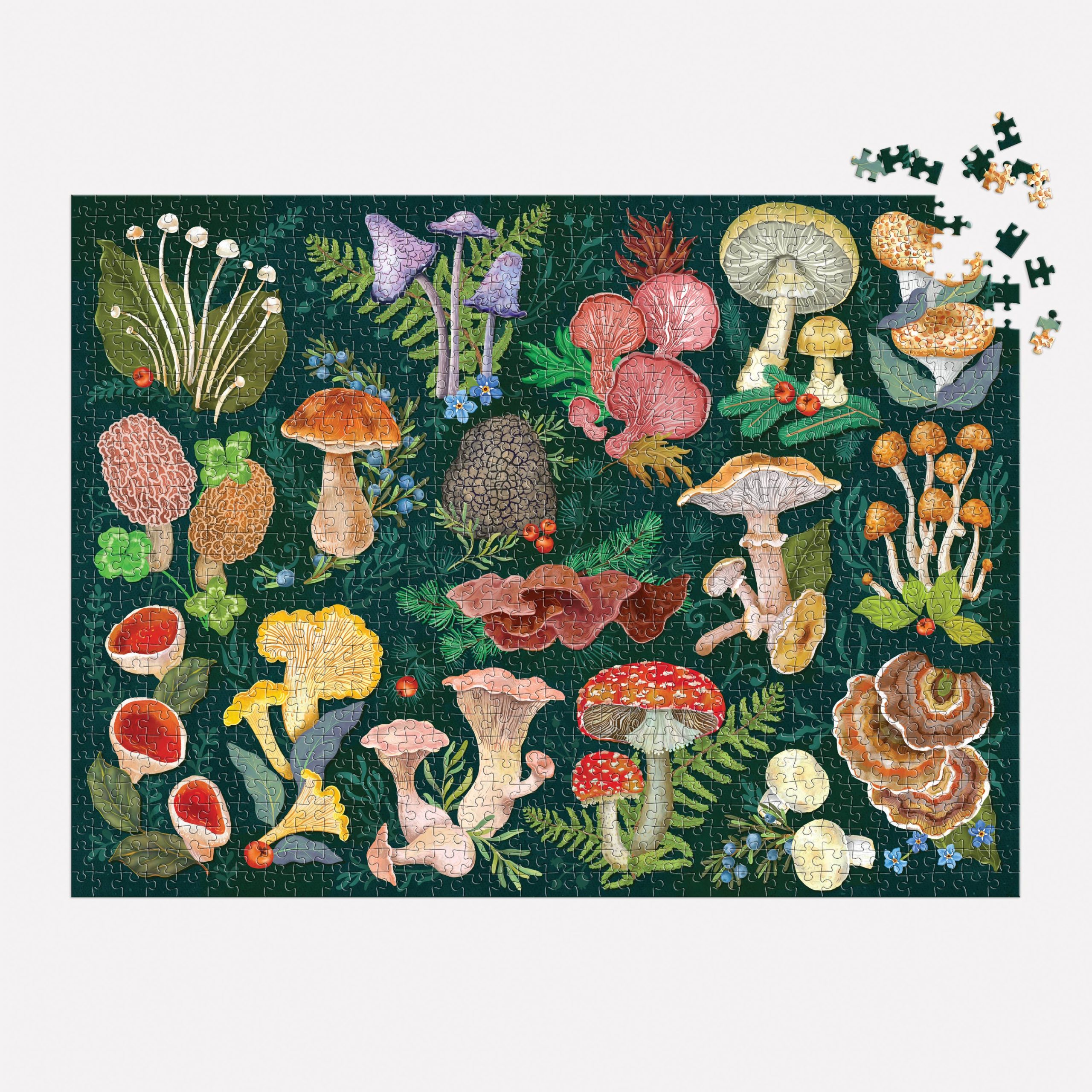 World of Mushrooms 1000 Piece Puzzle by Galison - Image 2