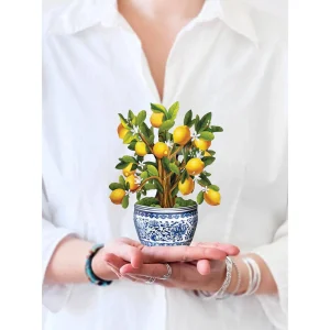 Mini Lemon Blossom Tree Pop Up Greeting Cards