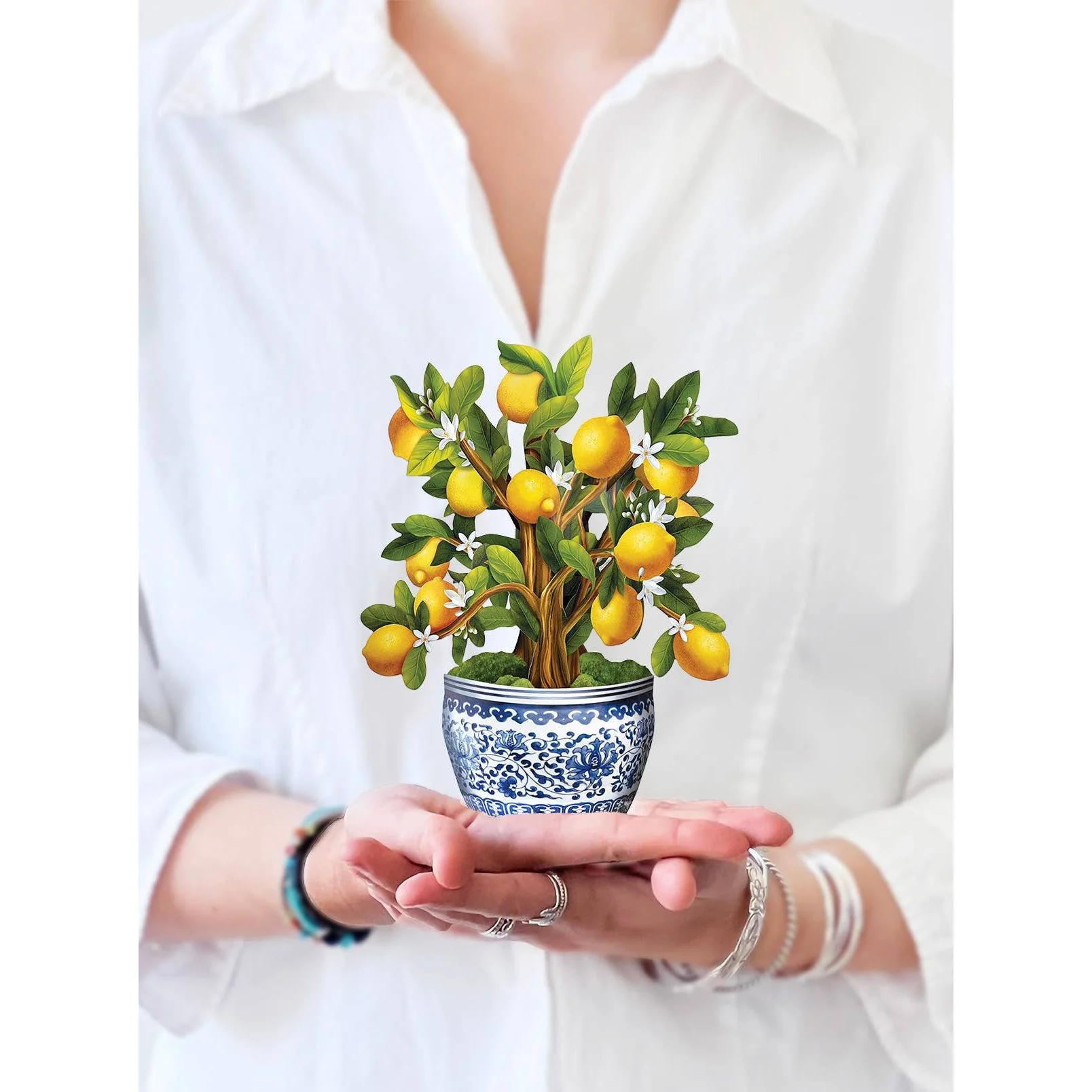 Mini Lemon Blossom Tree Pop Up Greeting Cards