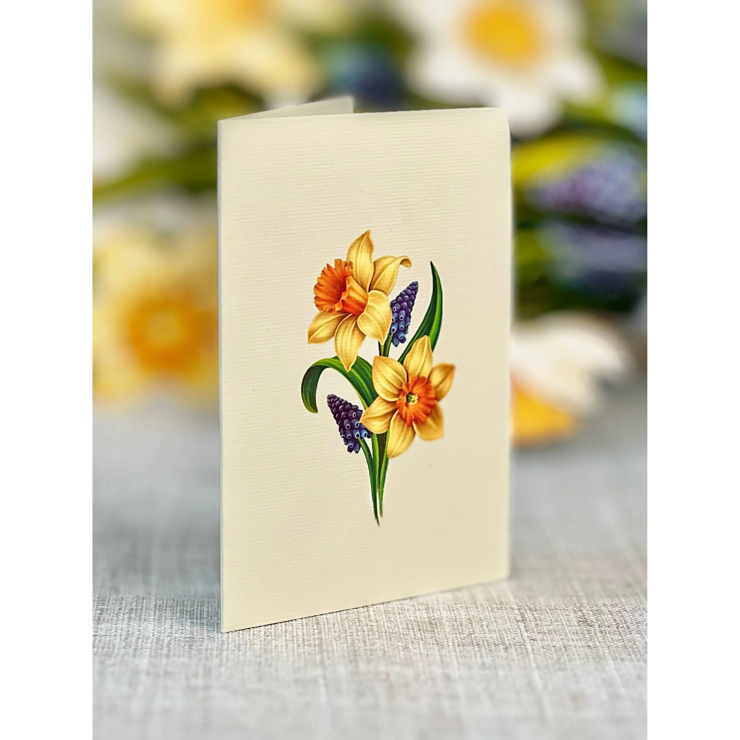 Mini English Daffodils Pop-up Greeting Cards - Image 6