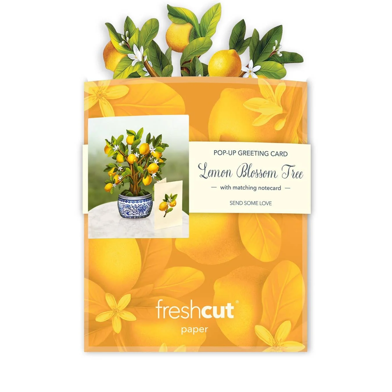 Mini Lemon Blossom Tree Pop Up Greeting Cards - Image 6